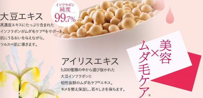 �p�C�i�b�v���������[�V�����ɂ���